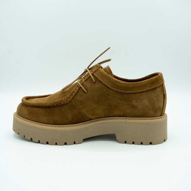 Derbies  