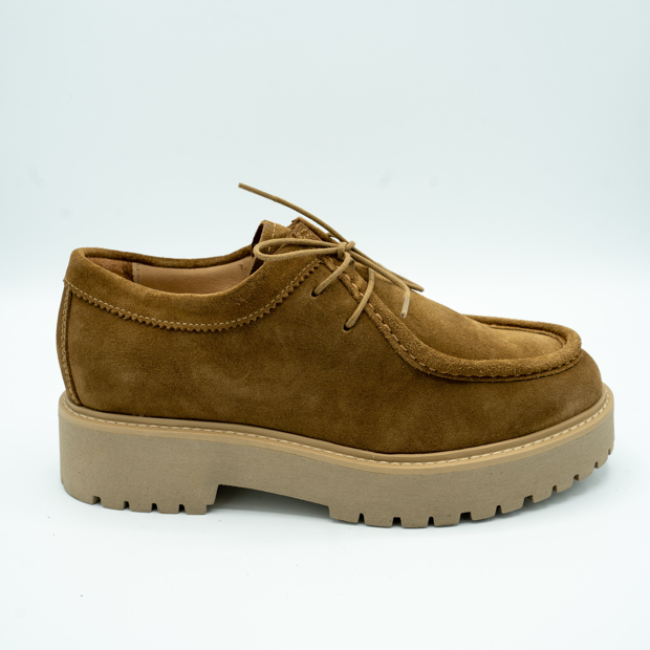 Derbies  