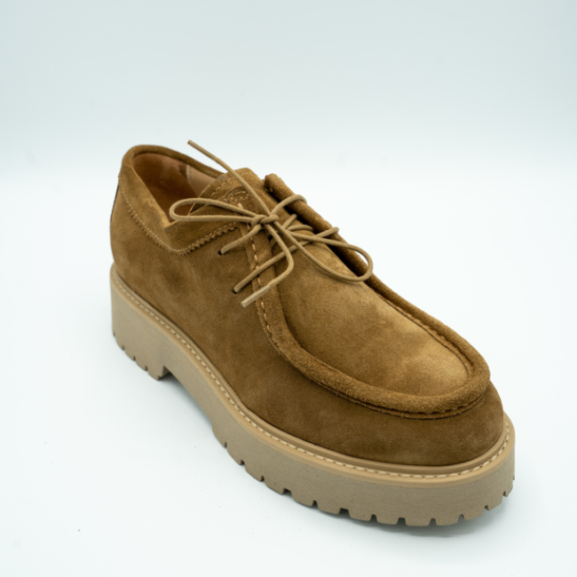 Derbies  